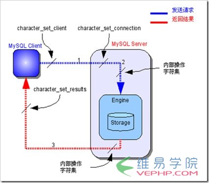 Mysql必讀深入Mysql字符集設置[精華結合]