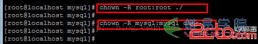 Mysql實(shí)例在Linux系統(tǒng)安裝Mysql教程
