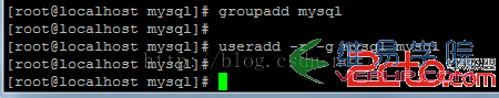 Mysql實(shí)例在Linux系統(tǒng)安裝Mysql教程