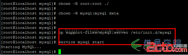 Mysql實(shí)例在Linux系統(tǒng)安裝Mysql教程