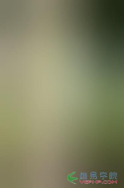 PHP實例：php使用高斯算法實現圖片的模糊處理功能示例