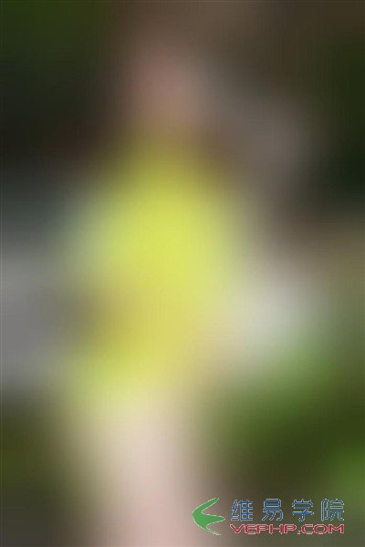 PHP實例：php使用高斯算法實現圖片的模糊處理功能示例