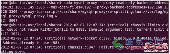 Mysql入門Ubuntu10下如何搭建MySQL Proxy讀寫分離探討