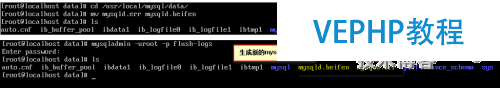mysql數(shù)據(jù)庫的參數(shù)以及性能的調(diào)配
