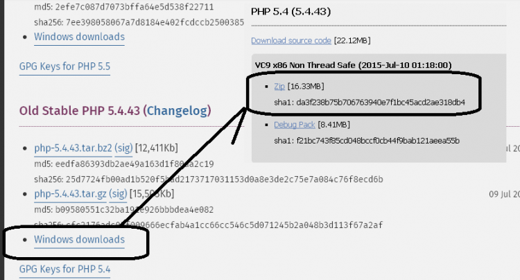 PHP實(shí)戰(zhàn)：Windows2003下php5.4安裝配置教程（IIS）