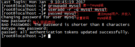 Mysql實例Linux centos7環境下MySQL安裝教程