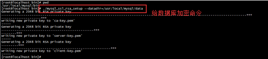 Mysql實例Linux centos7環境下MySQL安裝教程