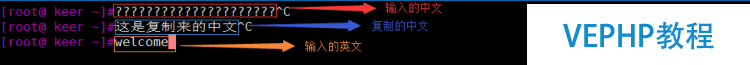 LINUX學習：Xshell輸入中文亂碼問題的解決