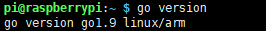 LINUX學習：Raspberrypi樹莓派Liunx下安裝Golang1.9環境(Debian)
