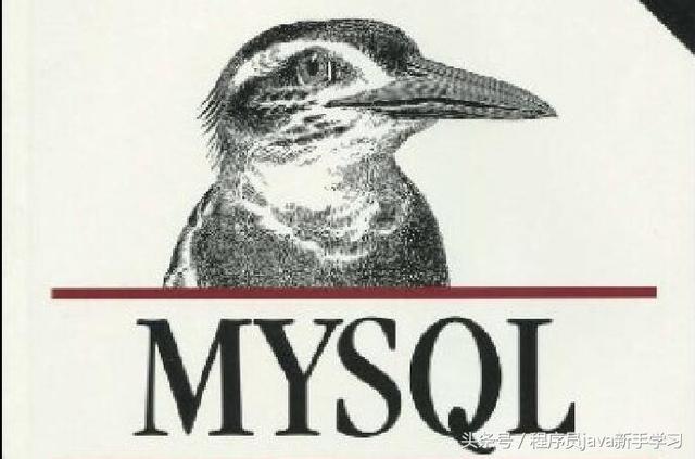 MySQL 選擇數據庫