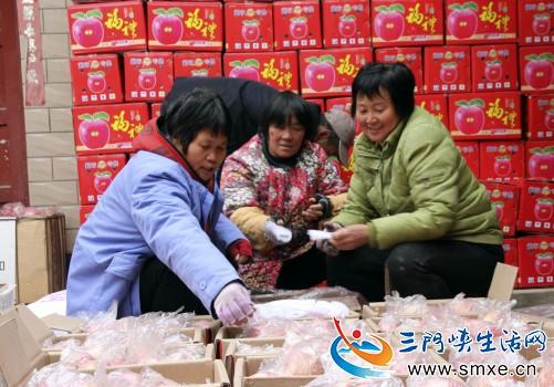陜州區：調優產業助民增收