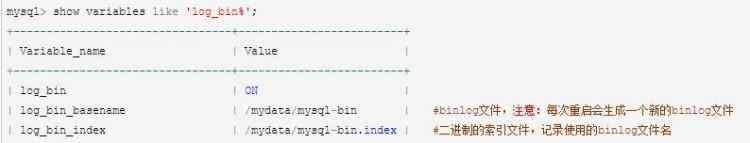關于MySQL binlog分析