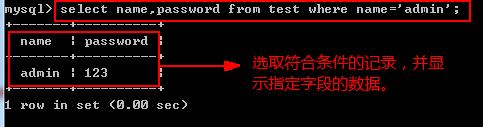 數據庫基礎