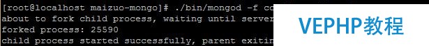 10分鐘學完Mongodb