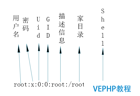 LINUX學(xué)習(xí)：Linux用戶和用戶組管理概述