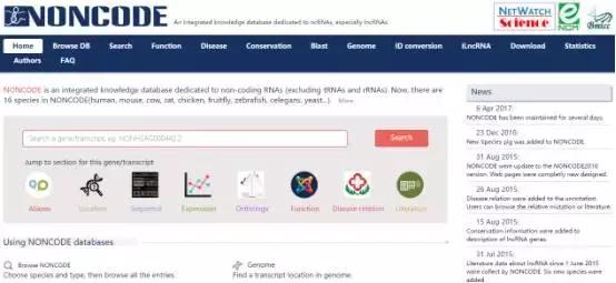 NONCODE數據庫使用指南｜一款好用的lncRNA數據庫