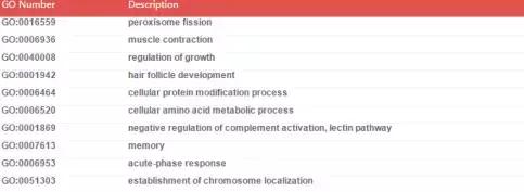 NONCODE數據庫使用指南｜一款好用的lncRNA數據庫