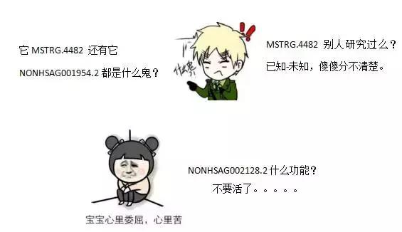 NONCODE數據庫使用指南｜一款好用的lncRNA數據庫