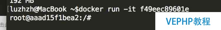 docker 初級教程,部署自己的redis 數據庫