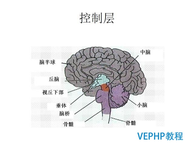 技術流丨PostgreSQL 物聯網行業應用分析