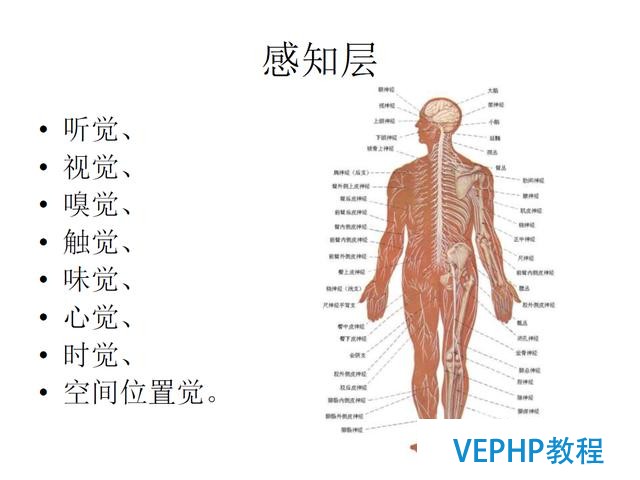 技術流丨PostgreSQL 物聯網行業應用分析