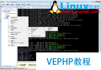 非桌面版Linux 安裝VMWare Tools