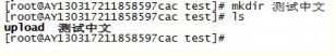 LINUX實戰(zhàn)：SecureCRT中文顯示亂碼