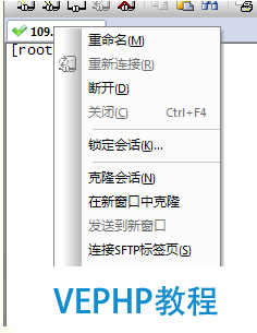 LINUX實戰(zhàn)：SecureCRT中文顯示亂碼