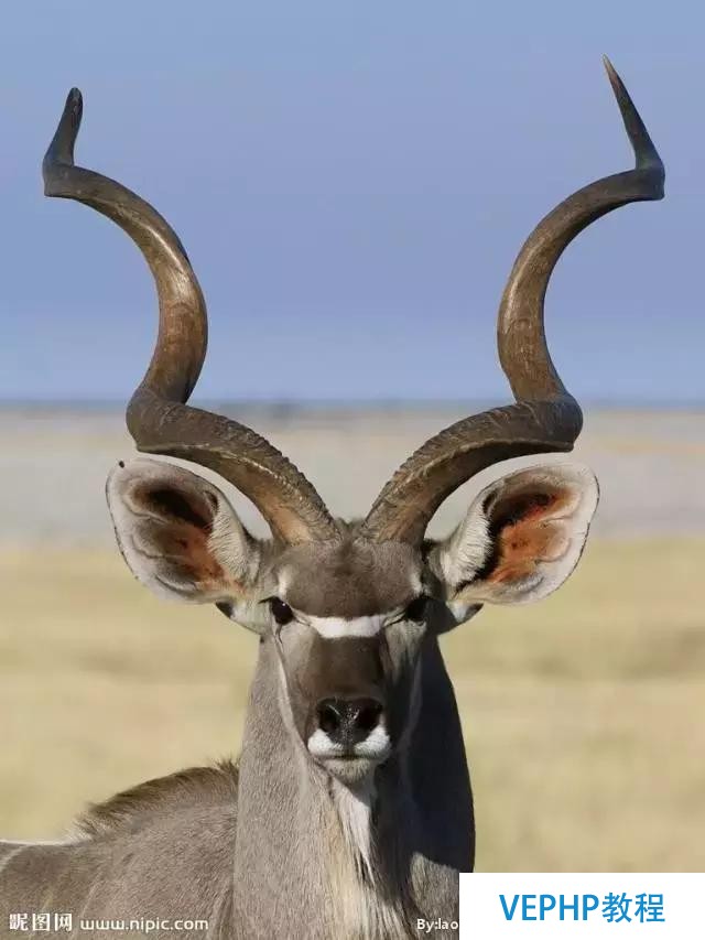 獨家｜一文讀懂Apache Kudu