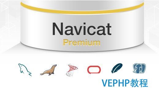 快速掌握Navicat for PostgreSQL 函數