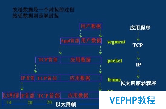 LINUX教學:計算機基礎系列教程三：網絡基礎之網絡協議