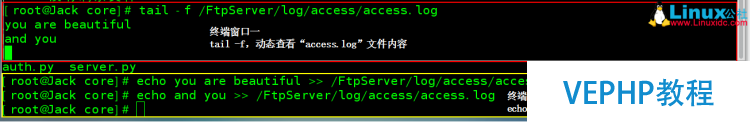 LINUX學習：Linux基礎之常用命令集錦圖文詳解