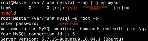 MYSQL數據庫ubuntu16.04.1下 mysql安裝和卸載圖文教程
