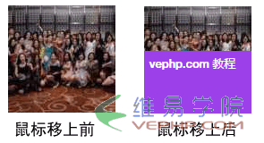 CSS動畫：CSS3實現鼠標移到圖片上出現文字標題或提示，鼠標移開文字隱藏消失